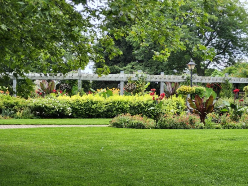 A manicured green lawn and vibrant garden with a wooden pergola and lamp post.